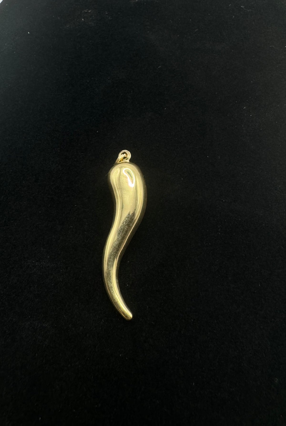 50MM ITALIAN HORN PENDANT 14K